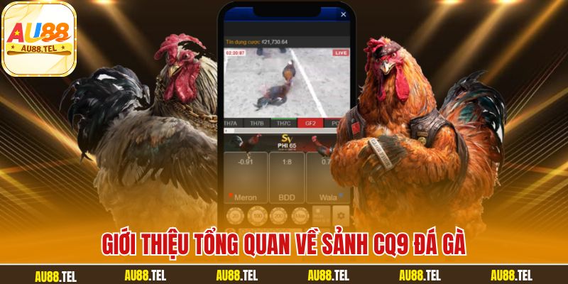 Giới thiệu tổng quan về sảnh CQ9 đá gà